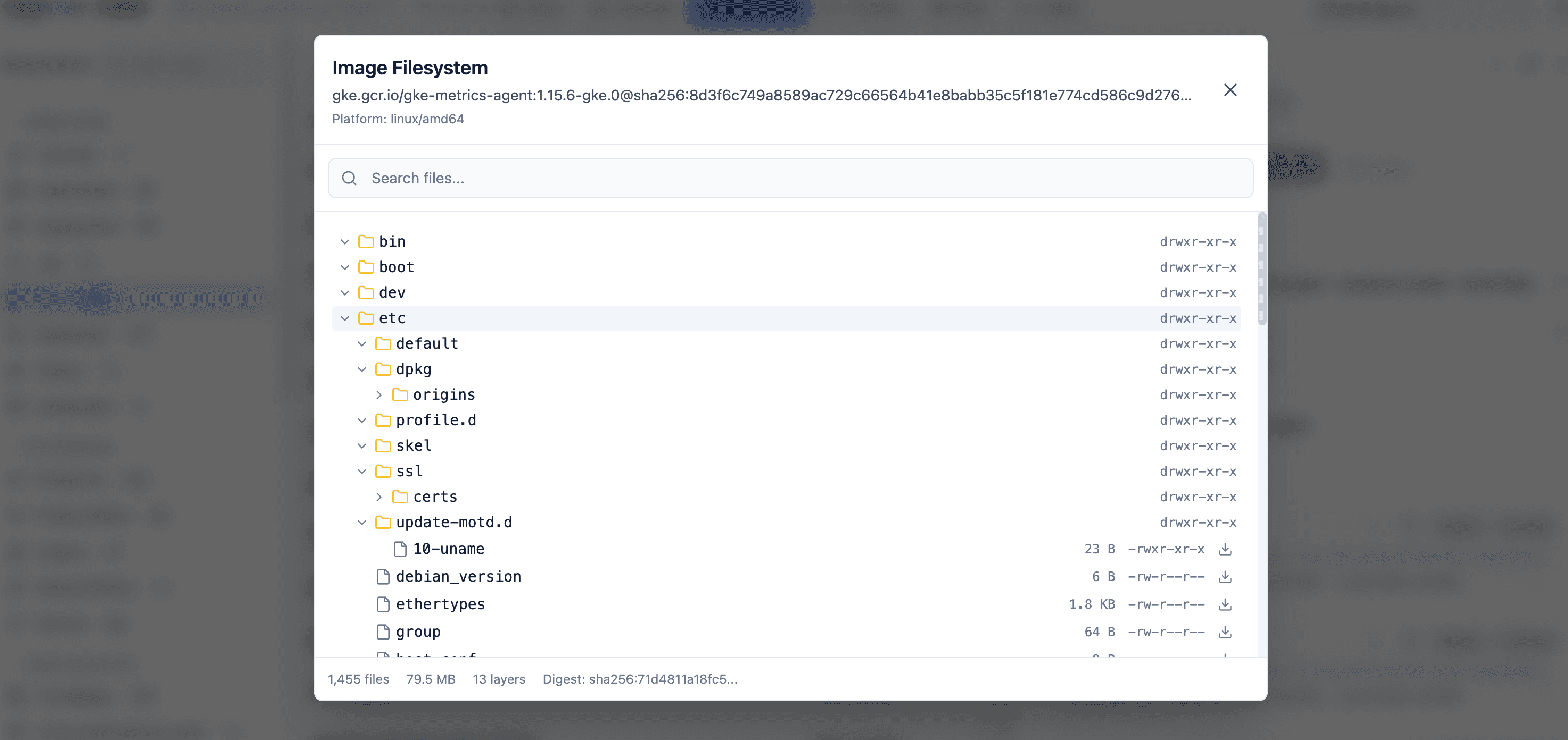Radar image filesystem viewer showing a container image tree with file sizes and permissions